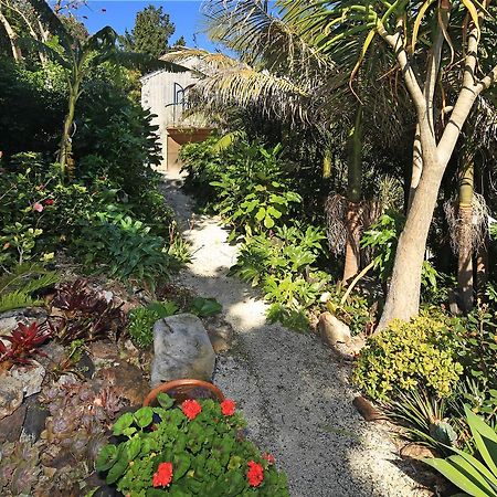 La Maisonette - Stay Waiheke Onetangi Dış mekan fotoğraf